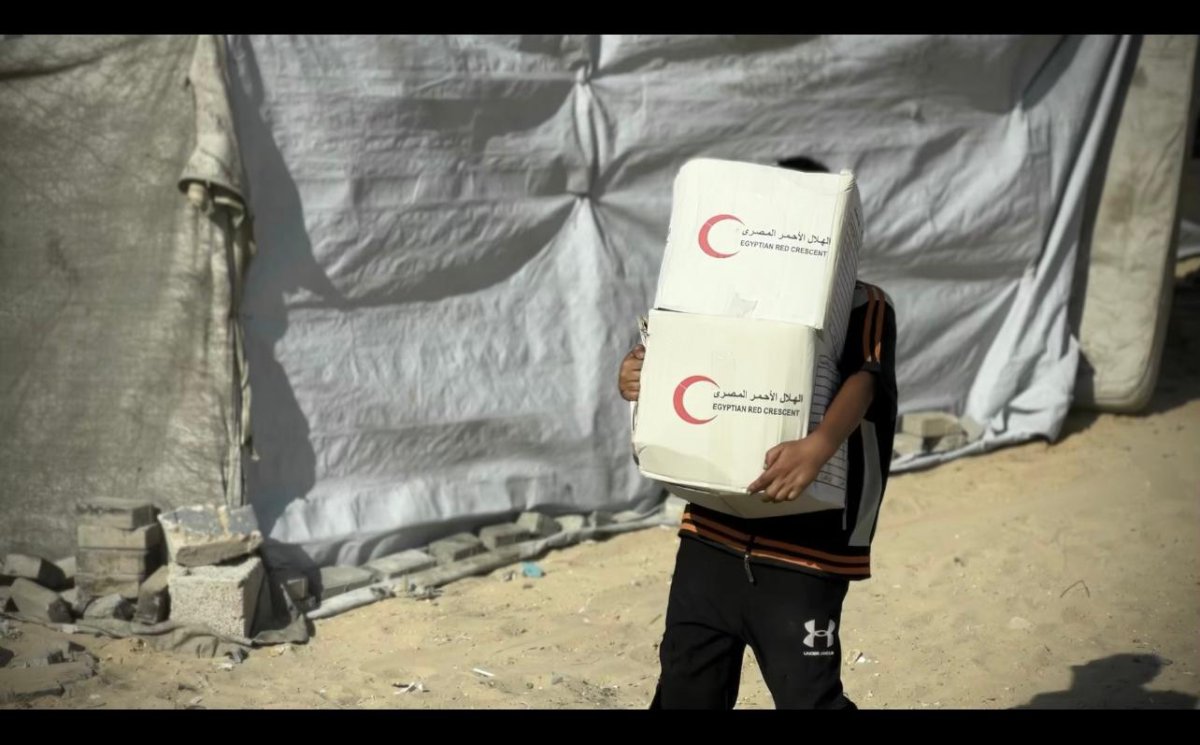 The Egyptian Committee Begins Distributing Relief Aid in Northern Gaza Strip