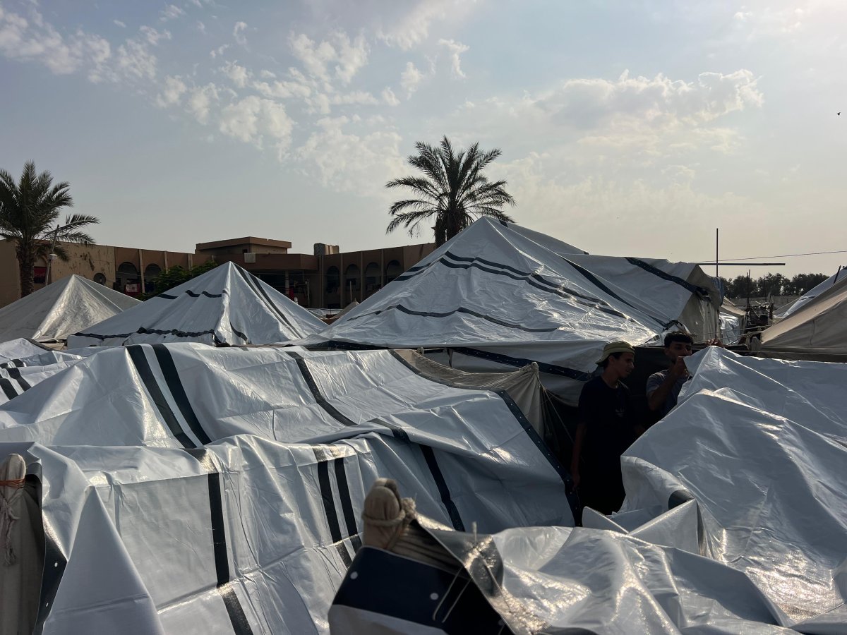 The Egyptian Committee cooperates with UNICEF to distribute plastic tarpaulins in northern Gaza to protect tent residents from the winter cold