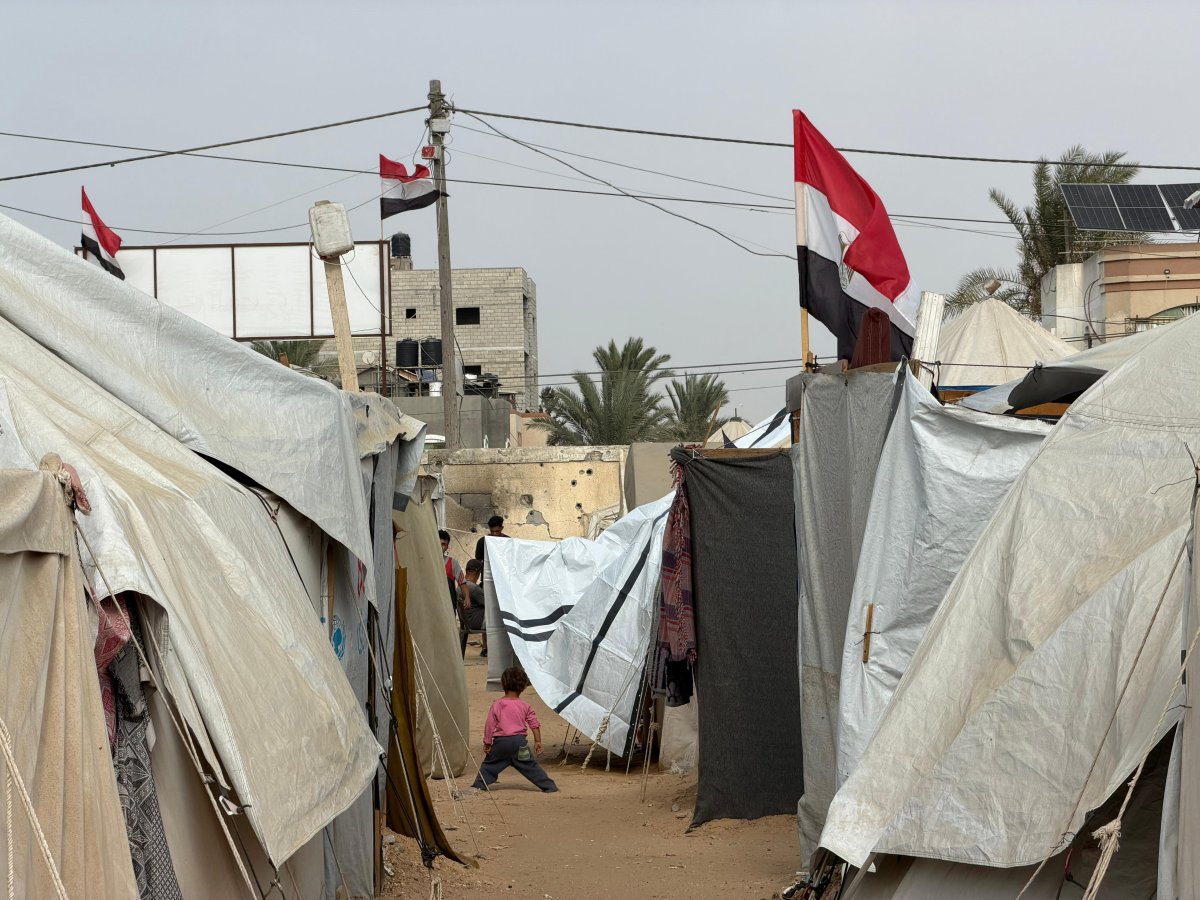 The Egyptian Committee cooperates with UNICEF to distribute plastic tarpaulins in northern Gaza to protect tent residents from the winter cold