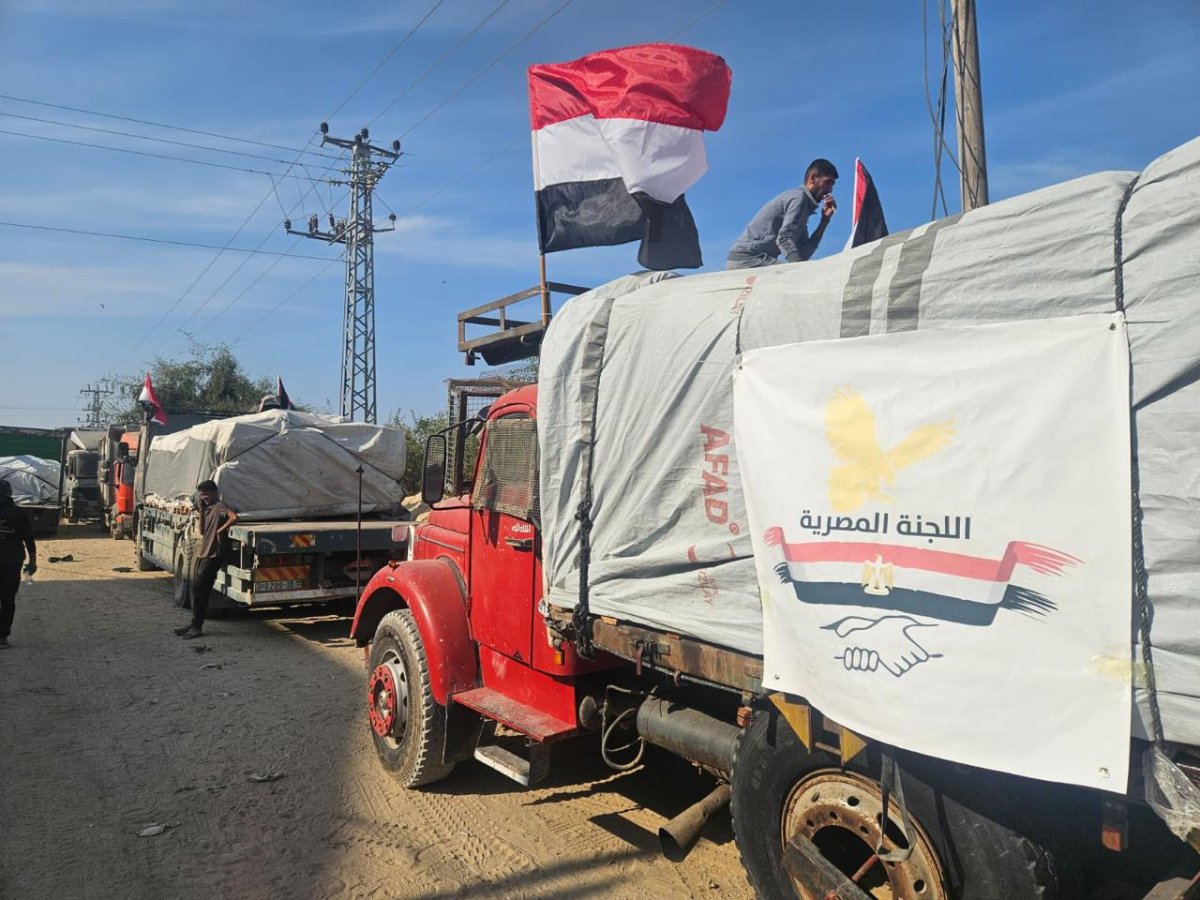 The Egyptian Committee Launches the “Hearts Beyond Borders” Campaign to Distribute Tens of Thousands of Humanitarian Aid Packages in Gaza
