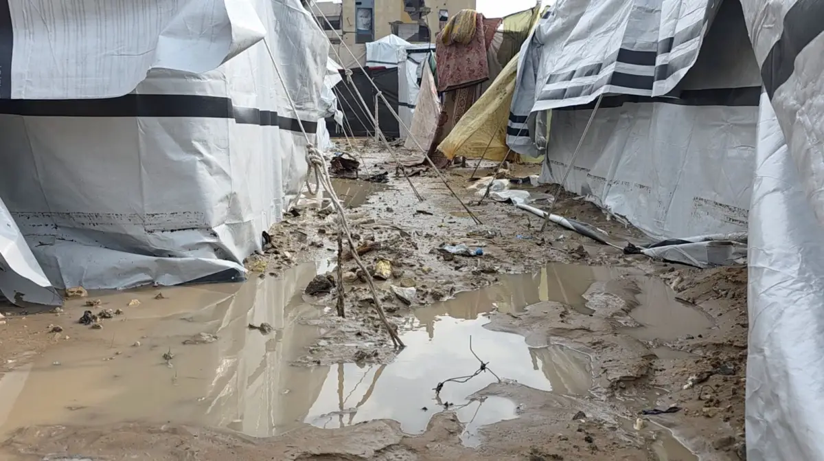 On the Frontlines: A Day with Egyptian Committee Teams Amid Adverse Weather Conditions in Gaza