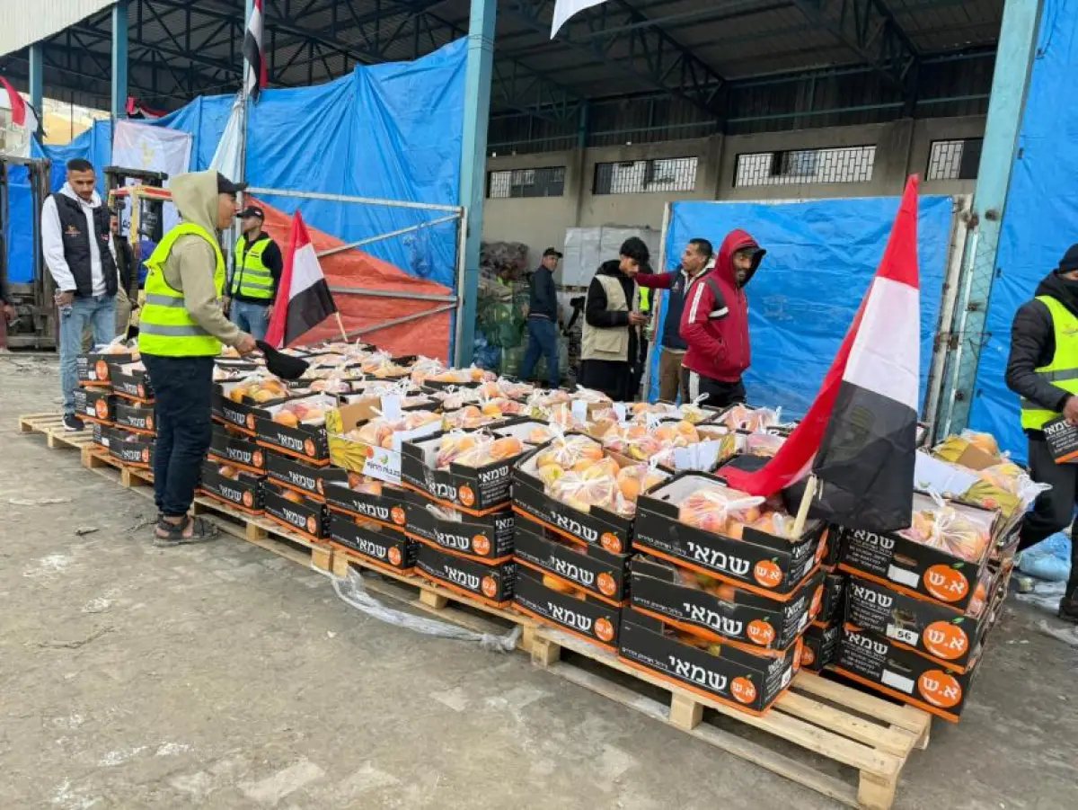 The Egyptian Committee Distributes Fresh Fruits to Residents of Al-Maqousi Camp (12 and 13)