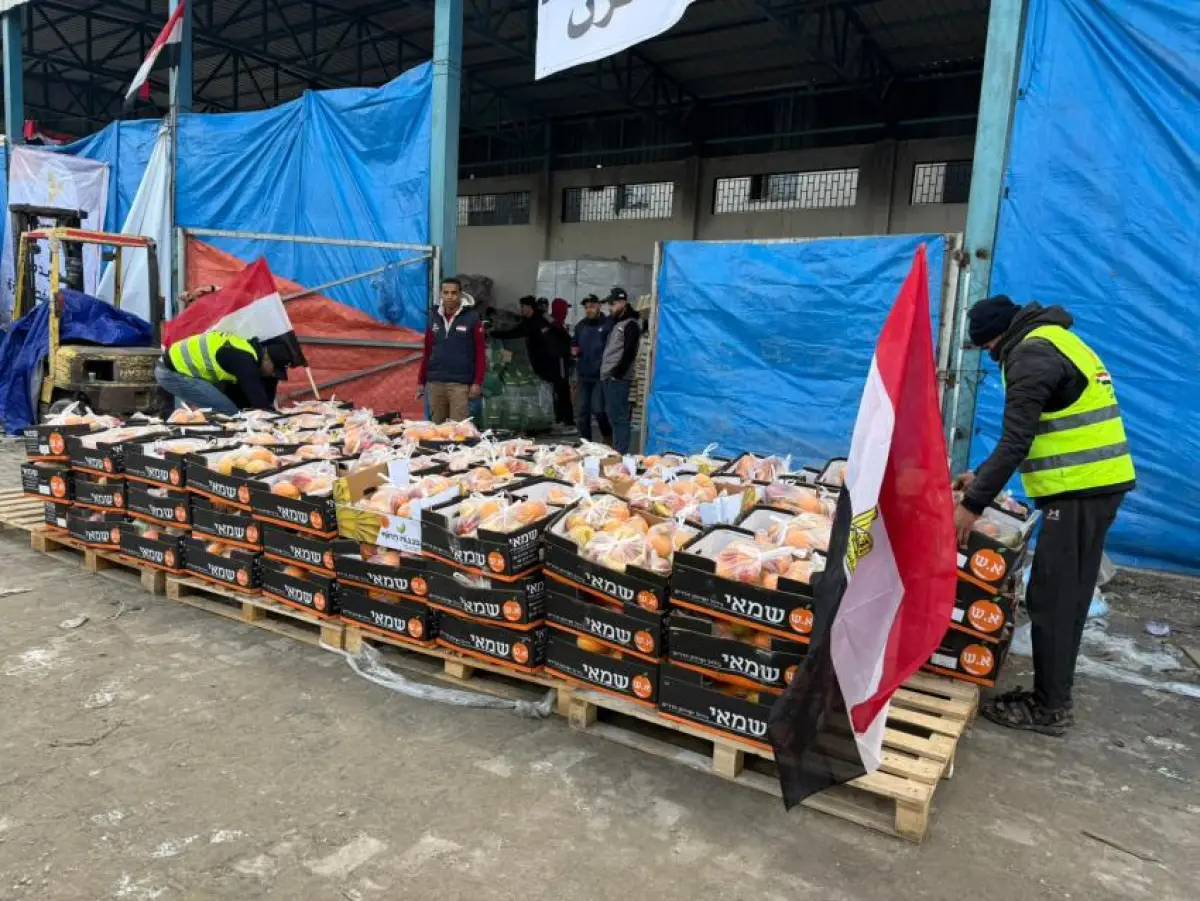 The Egyptian Committee Distributes Fresh Fruits to Residents of Al-Maqousi Camp (12 and 13)