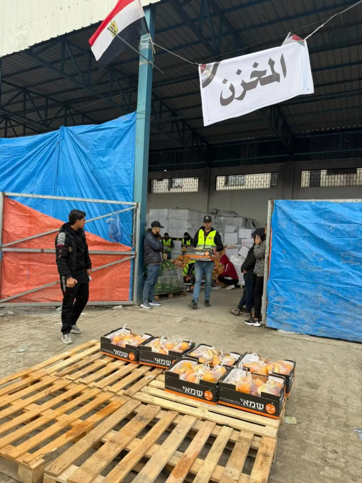 The Egyptian Committee Distributes Fresh Fruits to Residents of Al-Maqousi Camp (12 and 13)