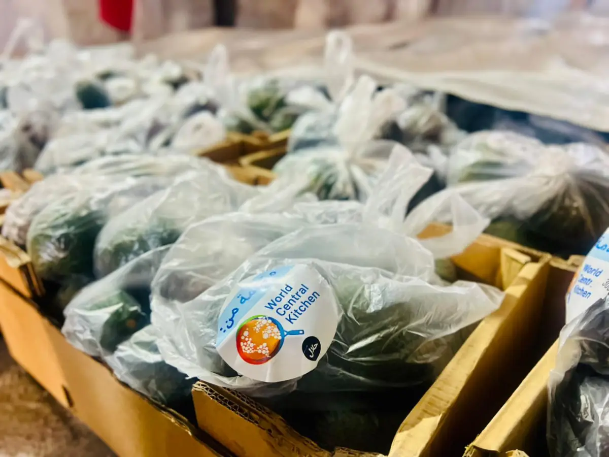 اللجنة المصرية بالتعاون مع المطبخ العالمي توزع ثمار الأفوكادو على عدد من المخيمات المصرية ومخيمات النزوح