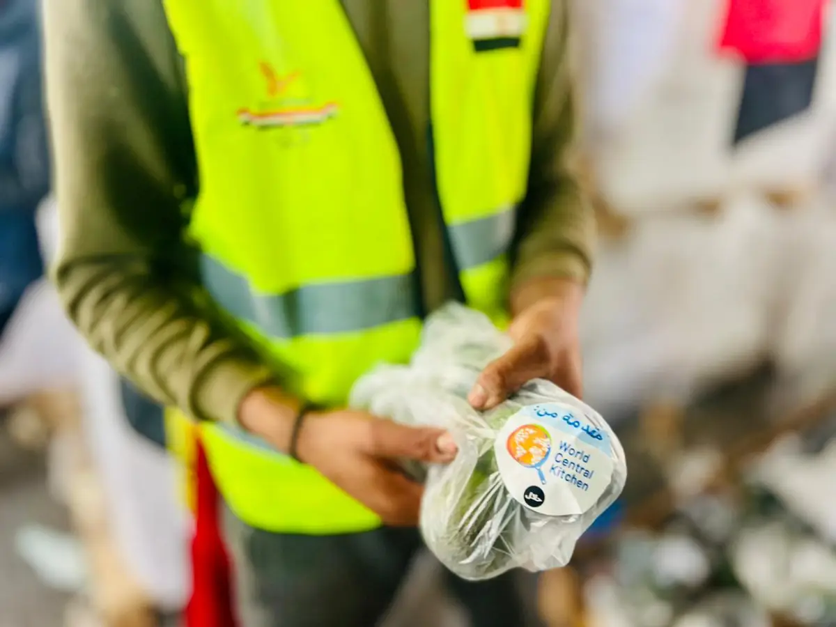 اللجنة المصرية بالتعاون مع المطبخ العالمي توزع ثمار الأفوكادو على عدد من المخيمات المصرية ومخيمات النزوح