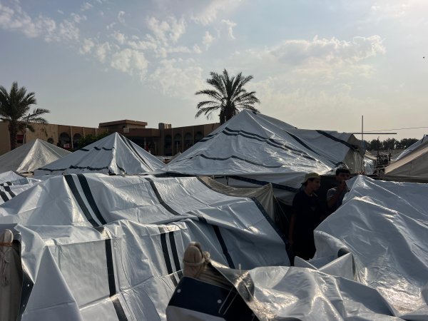 The Egyptian Committee cooperates with UNICEF to distribute plastic tarpaulins in northern Gaza to protect tent residents from the winter cold